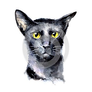 Watercolor black cat with yellow eyes.