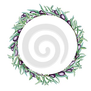 Watercolor black olive tree branch leaves wreath, Realistic olives illustration on white background, Hand painted Frame