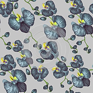 Watercolor black orchids ongrey  background pattern