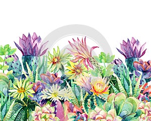 Watercolor blooming cactus background