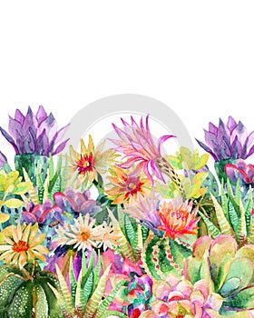 Watercolor blooming cactus background