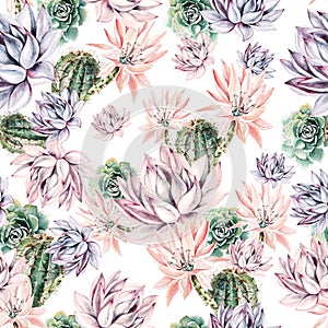 Watercolor blooming cactus background. Exotic cacti with flowers, seamless pattern. Succulent plants and cactus garden pattern.