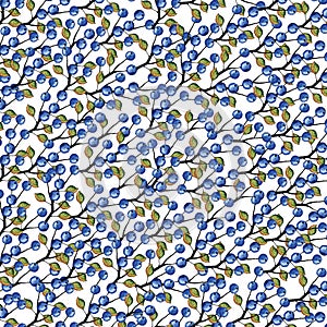 Watercolor Blue berries, branches pattern