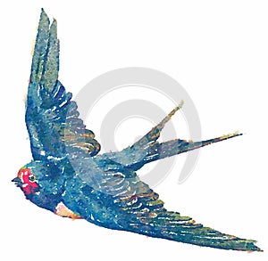 Watercolor blue bird illustration on white background