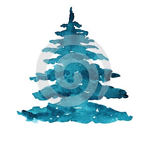 Watercolor blue fir tree isolated on white background