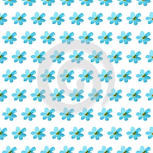 Watercolor blue flowers forget-me-nots Seamless pattern isolated on white background. simple ornament, fashion print and trend of