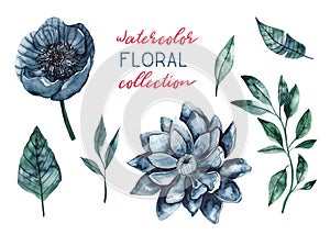Watercolor blue flowers and leaves. Collection of floral watercolor illustrations