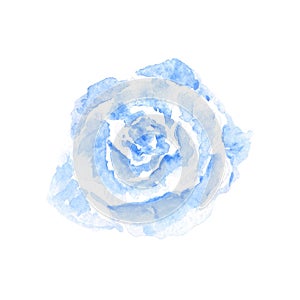 Watercolor blue gentle rose hand drawn on white background