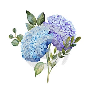 Watercolor blue hydrangea flower bouquet with leaves