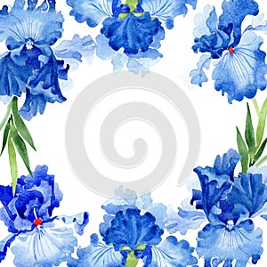 Watercolor blue iris flower. Floral botanical flower. Frame border ornament square.