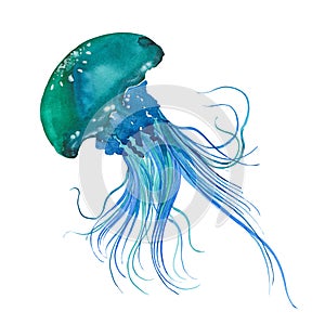 Watercolor Blue jellyfish