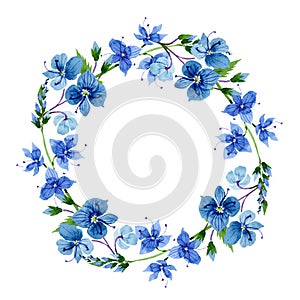 Watercolor blue Veronica flower. Floral botanical flower. Frame border ornament square.