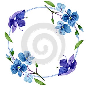 Watercolor blue Veronica flower. Floral botanical flower. Frame border ornament square. photo