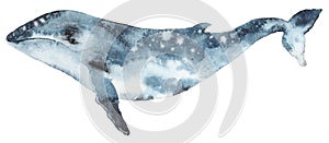 Akvarel modrý veľryba 