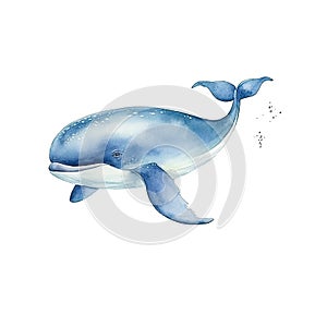 Watercolor Blue Whale Illustration AI Generative
