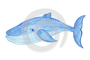 Watercolor blue whale object, cartoon style
