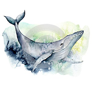 Watercolor blue whale. Underwater animal illustration isolated on white background. For design, prints or background.