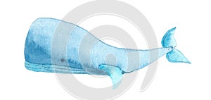 Watercolor blue whale on white background