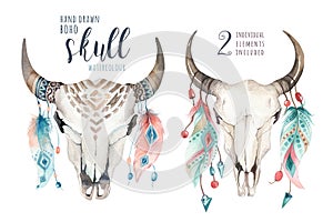 Watercolor bohemian cow skull and feather. Western mammals. Boho hipster deer boho decoration print antlers.