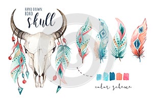 Watercolor bohemian cow skull and feather. Western mammals. Boho hipster deer boho decoration print antlers. flowers