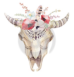 Watercolor bohemian cow skull. Western mammals. Watercolour hip