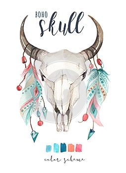 Watercolor bohemian cow skull. Western mammals. Watercolour hip