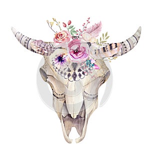 Watercolor bohemian cow skull. Western mammals. Watercolour hip