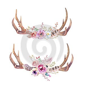 Watercolor bohemian deer horns. Western mammals. Watercolour hip