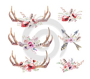 Watercolor bohemian deer horns. Western mammals. Watercolour hip