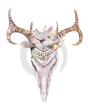 Watercolor bohemian deer skull. Western mammals. Watercolour d