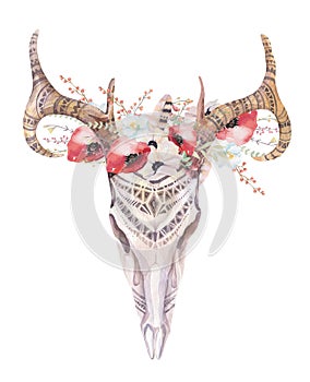 Watercolor bohemian deer skull. Western mammals. Watercolour d