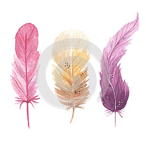 Watercolor Bohemian Pink Purple Feathers Bouquet Boho
