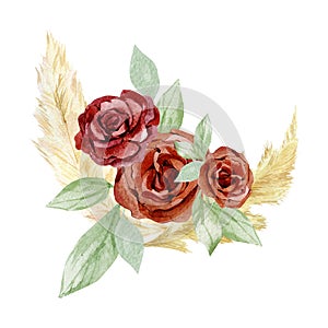 Watercolor bohemian red flowers bouquets. Pampas grass and burgundy rose, peonies. Boho bloom, branches, leaves, foliage.