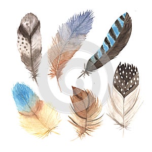 Watercolor boho colorful feathers collection