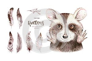 Watercolor boho floral isolated raccoon with feather. bohemian natural background: leaves, feathers, flowers, Artistic