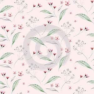 Watercolor boho floral pattern Bohemian natural leaves, feathers, flowers, Isolated on white background. Artistic