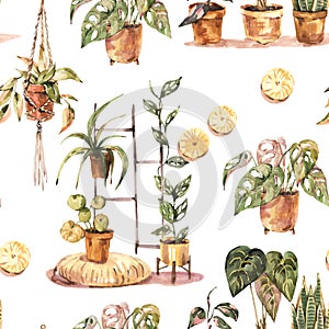 Watercolor boho home decor seamless pattern, indoor plants, urban jungle