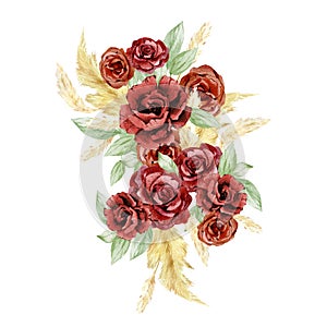 Watercolor boho red flowers bouquets . Hand drawn pampas grass and burgundy rose, peonies. Bohemian rich floral, branches, leaves,