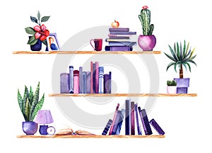 Watercolor bookshelves with cute decorative stuff on white background. Three wooden shelves with home plants in colorful pots,