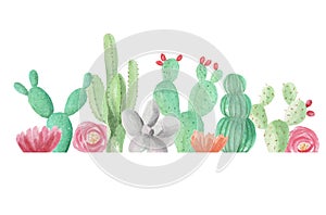 Watercolor Border Cactus Cacti Succulents Green Frame Wedding Spring Summer