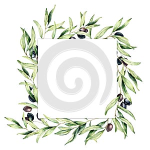 Watercolor border with green and black olive berries. Hand painted botanical card with olives branch isolated on white