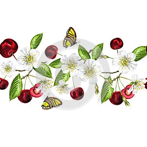 Watercolor border with white flowers and ripe juicy cherries with butterflies and leaves. Beautiful border with hand