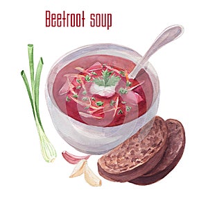 Watercolor borscht or borsch or beetroot soup