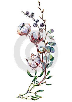 Watercolor Botanical Decoration with Cotton