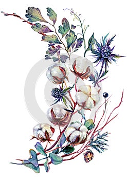 Watercolor Botanical Decoration with Cotton