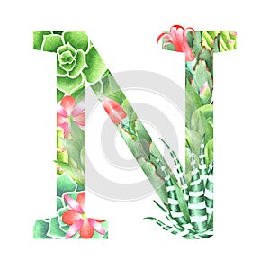 Watercolor botanical drop cap letter N in retro style with succulents, flowers, kalanchoe and sweetheart