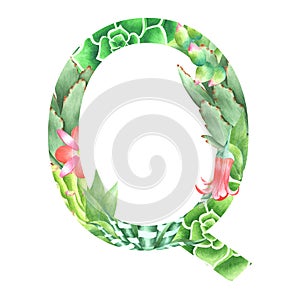 Watercolor botanical drop cap letter Q in retro style with succulents, flowers, kalanchoe and sweetheart