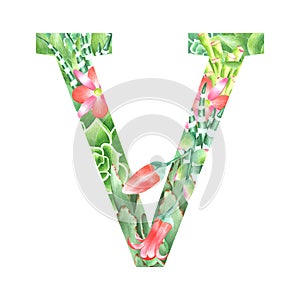 Watercolor botanical drop cap letter V in retro style with succulents, flowers, kalanchoe and sweetheart