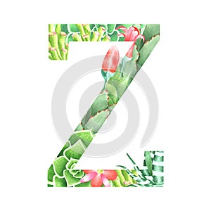 Watercolor botanical drop cap letter Z in retro style with succulents, flowers, kalanchoe and sweetheart