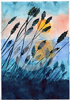 Watercolor botanical flower illustration summer sunset evening spike plant blue yellow orange colors